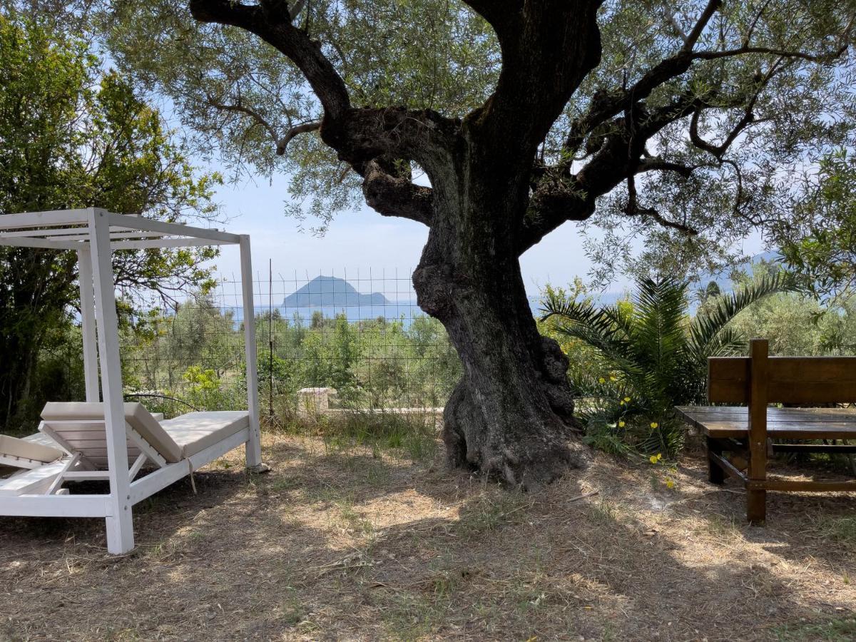 Villa Anta House By The Sea Lithakia  Eksteriør billede